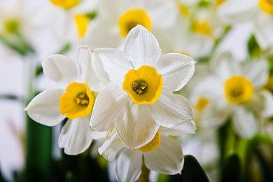 《人渣 SCUM》今日推出大型更新，同时完全支持中文语言